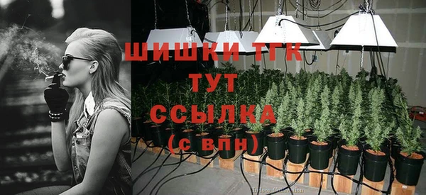 крисы Баксан